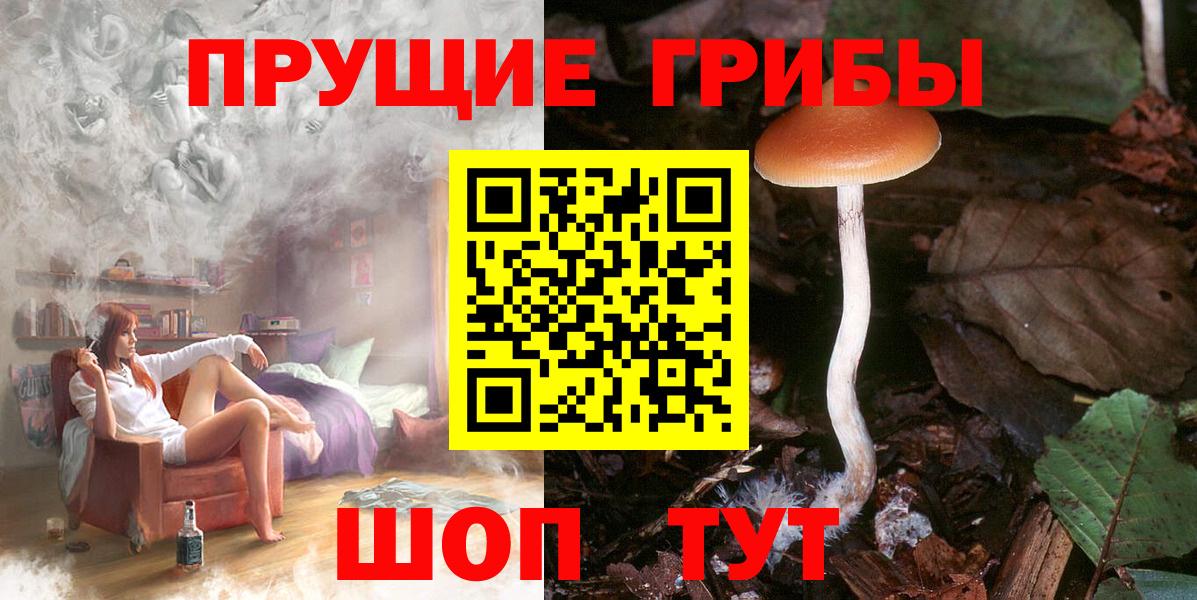 Псилоцибиновые грибы MAGIC MUSHROOMS Елец