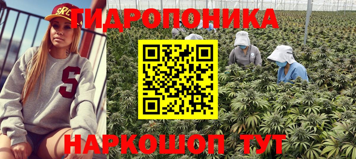 Каннабис ГИДРОПОН Елец